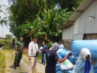 Wujudkan Ketahanan Pangan Babinsa Koramil 0816/11 Tarik Gencarkan Sergap Ke Bulog