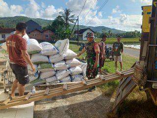 Lembur, TNI Bersama Bulog Serap 21,3 Ton Gabah Petani di Pacitan