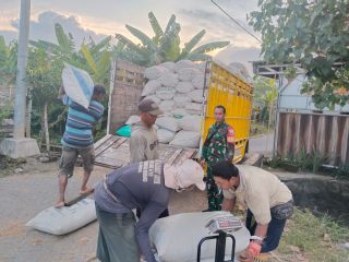 Panen Padi di Grabagan, Gotong Royong Petani dan Babinsa dalam Menguatkan Ketahanan Pangan Desa
