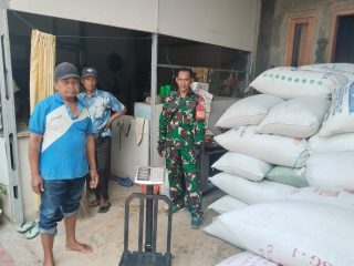 Kehangatan Sinergi di Bumi Grabagan, Babinsa dan Warga Ukir Sukses Panen Raya, Hasilkan Lebih dari 2 Ton Gabah Unggul