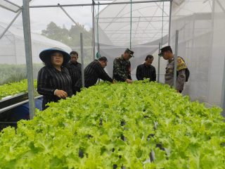 Polsek Pesantren Dukung Ketahanan Pangan di Kampung Tani Dengan Greehouse Tanaman Sayuran