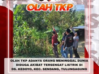 Warga Dsn. Gading Meninggal Mendadak Akibat Tersengat Listrik Saat Memotong Dahan Durian