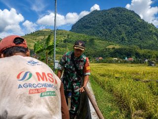 Jaga Produktivitas Pertanian, Babinsa dan Warga Normalisasi Saluran Irigasi