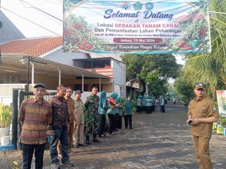 Sinergi Babinsa dan PKK Sidoarjo dalam Gertam Cabe Tambakrejo