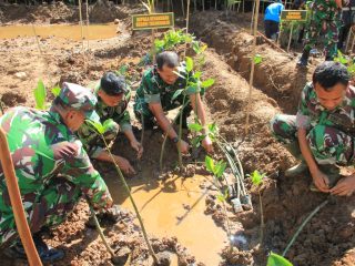 Kodim dan Pemkab Trenggalek Tanam 1.500 Mangrove di Watulimo