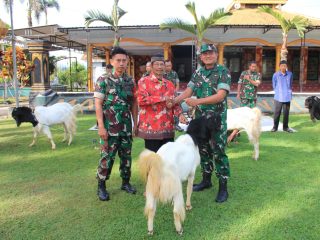 Kodim 0806/Trenggalek Distribusikan 7 Kambing Kurban untuk Panti Asuhan dan Ponpes