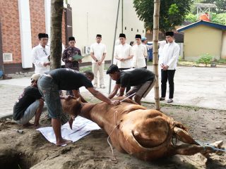 Polres Kediri Kota Tebar Kepedulian di Idul Adha 1447 H, Salurkan 10 Sapi dan 8 Kambing Qurban