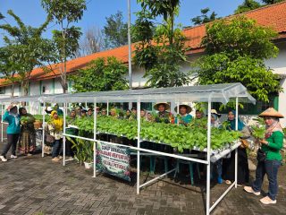 BABINSA TAMBAKKEMERAKAN BERSAMA KADER, DAN PKK PANEN SAYUR HIDROPONIK