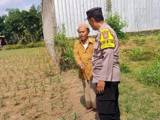 Polisi Sahabat Petani, BKTM Desa Bulu Aktif Dampingi Ketahanan Pangan