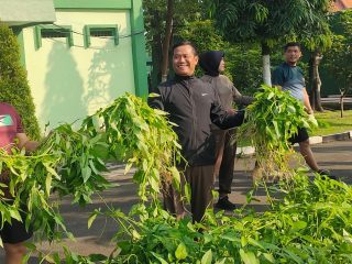 Dukung Ketahanan Pangan Danrem Panen Raya Bersama Prajurit