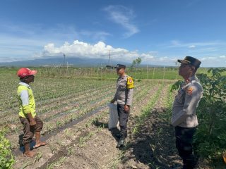 Dukung Ketahanan Pangan, Bhabinkamtibmas Polsek Tarokan Lakukan Pengecekan dan Edukasi di Dusun Becek