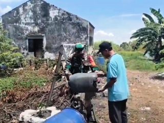 Babinsa Kedungpeluk Dorong Budidaya Kambing Modern dengan Pakan Fermentasi