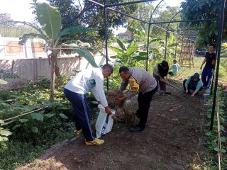 Tiga Pilar Singonegaran dan Mahasiswa KKN Tanam Bibit Terong, Dukung Ketahanan Pangan Berbasis Masyarakat