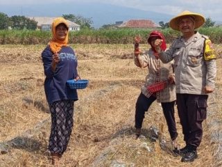 Sambang Sawah, Wujud Kepedulian Bhabinkamtibmas dalam Program “Polri Perkuat Ketahanan Pangan"