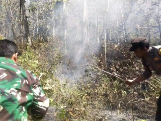 Respon Cepat Call Center 110 Polres Ngawi, Kebakaran Lahan di Bukit Gogor Sine Berhasil Dipadamkan