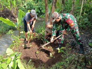 Lestarikan Lingkungan, Serda Budiono Bersama Poktan Sidodadi Tanam Pohon Melalui Aksi Bersatu Dengan Alam