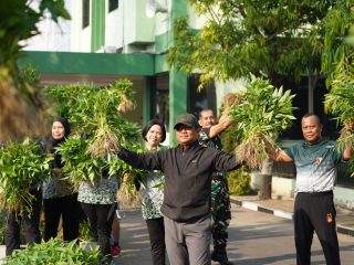 Hijaukan Makorem, Danrem Bhaskara Jaya Jadikan Panen Sayuran Momentum Menguatkan Ketahanan Pangan