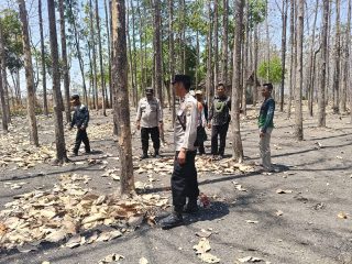 Sinergi Cegah Karhutla, Polres Bojonegoro Sisir Kawasan Rawan di Kedungadem