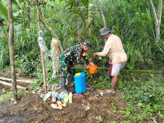 Wujudkan Ketahanan Pangan, Babinsa Kedungbanteng Dampingi Petani Merawat Sawah Warga