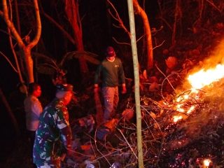 Aksi Sigap Babinsa Dan Warga Padamkan Kebakaran Hutan Jati Di Pagerwojo Blitar
