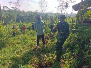 Babinsa Koramil Bakung Bersama Siswa Siswi SMKN 1 Blitar Tanam Pohon Di Monumen Trisula Melalui Program “Bersatu Dengan Alam”