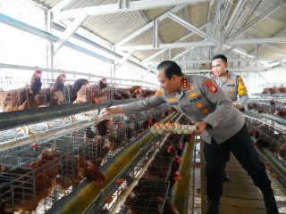 Polda Metro Jaya Jadi Contoh Penguatan Rantai Pasok MBG, Polri Dorong Jajaran Kembangkan Potensi Pangan Lokal