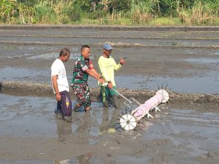 Gerakan Tanam Serempak Digelorakan, Babinsa Porong Dorong Petani Perkuat Ketahanan Pangan