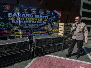 Bareskrim Polri Ungkap Dugaan Penyelundupan Ribuan Burung Tanpa Dokumen Karantina di Sidoarjo, Dua WNA Vietnam Jadi Tersangka
