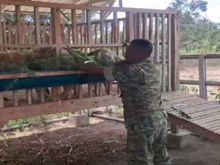 Kodim 0808/Blitar Optimalkan Program Ketahanan Pangan Melalui Sistem Pertanian Terpadu Di Srengat